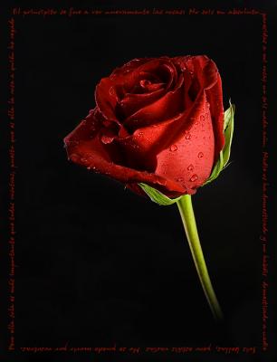 &iquest;Para que levantar la cabeza si siempre hay algo q te la vuelve a hundir y tapar con arena?